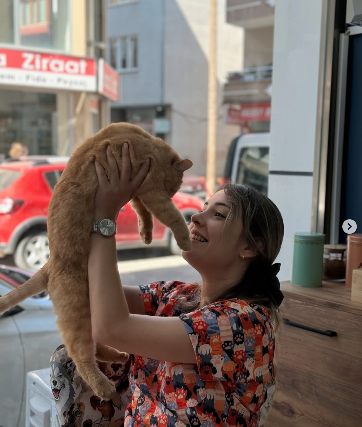 Mutlu bir pati kliniğe bakıyor